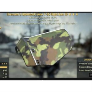 OVEREATER'S T-65 AP WEAPON WEIGHT REDUCED